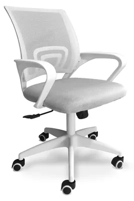 Image de Lara - Chaise de bureau ergonomique à roulettes, réglable en hauteur - couleur blanc et gris