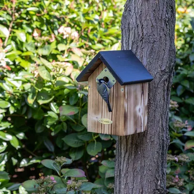 Produktbild von CJ Wildlife Nistkasten - 28 mm Einflugloch - Holz () Schwarz/Braun - für Blau-, Sumpf- und Weidenmeisen - Metall-Räuberschutz