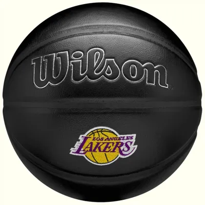 Zdjęcie produktu dla Piłka Wilson WZ4026410XB