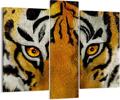 Produktbild von Bild auf Leinwand - Leinwandbild - Tiger Tiere Natur Safari - 95x80cm - Wand Bild - Wanddeko - Leinwanddruck - Bilder - Kunstdruck - Wanddekoration - Leinwand bilder - Wandkunst - CB95x80-1549