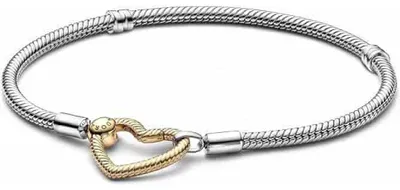 Obrázek produktu pro Pandora model 569539C00-21