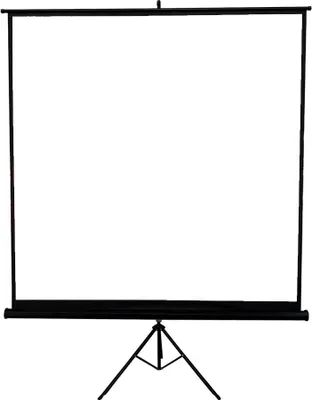 A white projection screen on a black tripod stand, isolated on a white background.