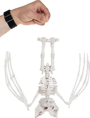 Produktbild von Große Fledermaus Halloween Deko