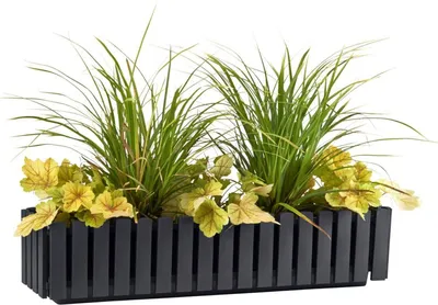 Produktbild von Blumenkasten Fency 75x18,5cm Anthrazit Bewässerungskasten Balkonkasten Drainage
