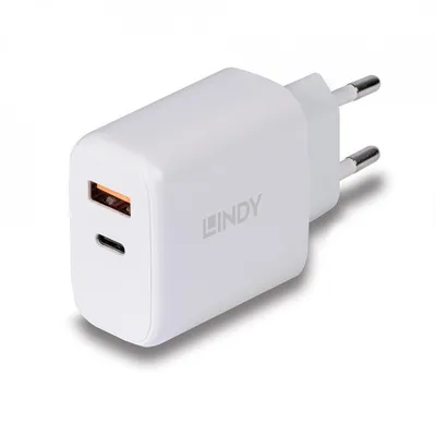 Immagine prodotto di Lindy 73424 LINDY Caricatore USB tipo A e C Caricatore 30W, bianco