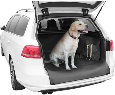 Produktbild von Autostyling seehase seehase kofferbak beschermdeken dexter trunk coverage gr. xxl dexter