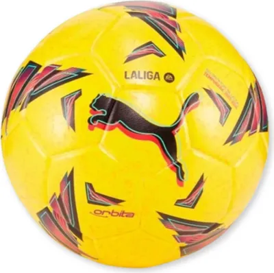 Produktbild von Puma Orbit Laliga 1 Spiel Fußball auf Rasen