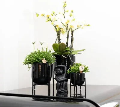Image de Bougeoir décoratif noir en polystone Ø13cm - bougeoir décoratif, décoration de