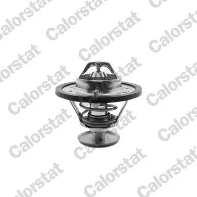 Produktbild von CALORSTAT by Vernet Thermostat Kühlmittel 78°C
