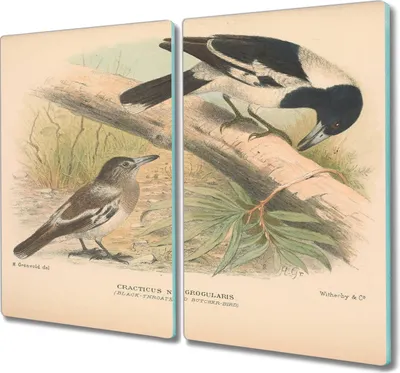 Produktbild von Coloray Hackbrett Herdabdeckplatte 2x30x52 cm Küchenbrett Kochplattenabdeckung Schneidebrett - Vögel Tiere