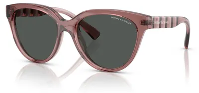 Obrázek produktu pro ARMANI EXCHANGE Sluneční brýle AX4148SU83598