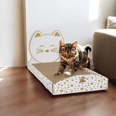 Image de Griffoir Pour Chat