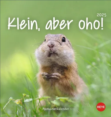 Produktbild von Klein, aber oho! Postkartenkalender 2025