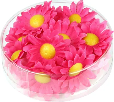 Immagine prodotto di "Scatola Con 20 Margherite Decorative Color Fucsia"