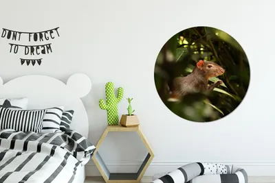 Produktbild von MuchoWow® - Mauerkreis - Wandbilder - Runde Bild - Bild aus Aluminium - Schlafzimmer - Wohnzimmerdekoration - Wand Dekoration