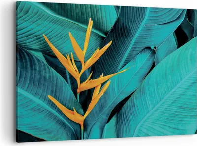 Produktbild von Bild auf Leinwand - Leinwandbild - Einteilig - Blumen Tropen Blätter - 100x70cm - Wand Bild - Wanddeko - Wandbilder - Leinwanddruck - Bilder - Wanddekoration - Leinwand bilder - AA100x70-5116