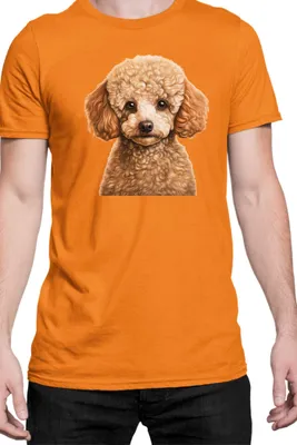 Obrázok produktu pre Mužské Tričko Dogs Breeds Poodle Dog Breed 005, Man 2XL / Oranžová