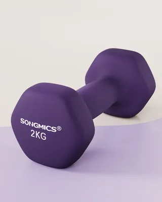 Obrázek produktu pro SONGMICS Sada činek, sada 2 kusů, silový trénink, domácnost, kancelář