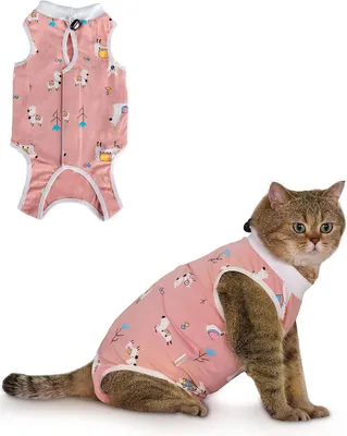 Produktbild von 2 Katzenbody nach OP, Atmungsaktiv, Recovery Suit Katze | Anti-Leck-Schutz , Alternative zum Halskragen, Weich und Waschbar, Größen S-M