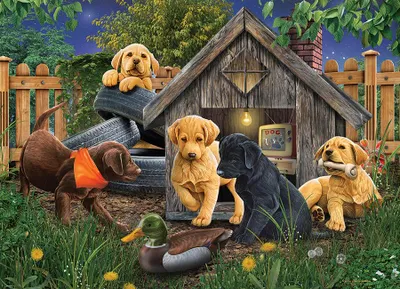 Zdjęcie produktu dla Cobble Hill In the Doghouse, 1000 szt.