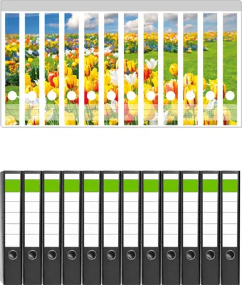 Produktbild von Wallario 12 Stück schmale Ordner inkl. Klebeetiketten mit Motive Tulpenwiese unter blauem Himmel -  Set mit Rückenschildern / Ordnerrücken Stickern