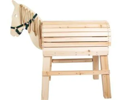Produktbild von kindsgard Outdoorpferd hoppgalopp natur