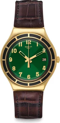 Obrázek produktu pro HODINKY SWATCH Mod. YGG406