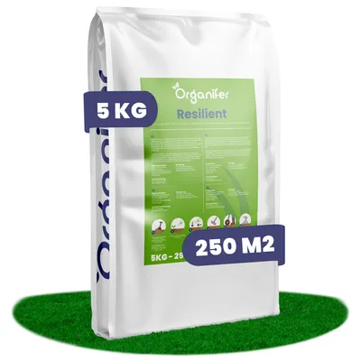 Obrázok produktu pre Osivo na opravu trávnika – odolné (5 kg na 250 m2)