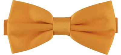 Produktbild von Ladeheid Herren Schmale Herrenfliege M (12cm x 6cm)