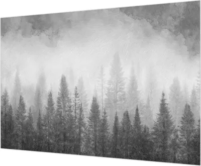 Zdjęcie produktu dla Tapeta ścienna – tapeta dekoracyjna do salonu – folia tapetowa do dekoracji ścian – 312 x 219 cm – Leśna mgła