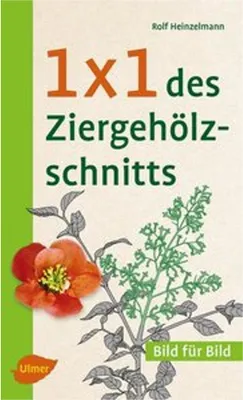 Obrázok produktu pre 1 x 1 des Ziergehölzschnitts