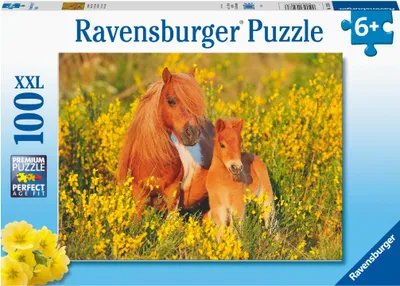Produktbild von Shetlandponys Ravensburger 13283