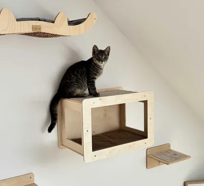 Obrázek produktu pro "TV" kočičí doupě na zdi - 49x33x28,5 cm