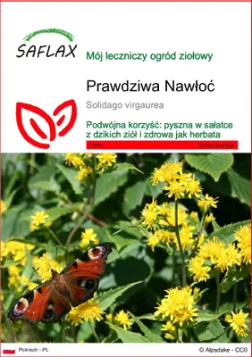 Zdjęcie produktu dla SAFLAX - Prawdziwa Nawłoć - 100 Nasiona - Solidago virgaurea