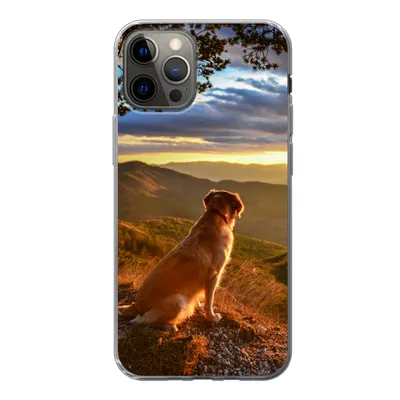 Produktbild von MuchoWow® Handyhülle Schutzhülle Hülle für iPhone 13 Pro Ein Golden Retriever beobachtet den Sonnenuntergang Silikon Softcase Handy Hülle - Handy-Tasche