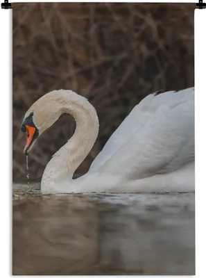 Produktbild von MuchoWow® Wandteppich Wandbehang Schwan - Wasser - Tiere - Vogel 120x180 cm Tapisserie Dekoration Wandtuch - Schlafzimmer - Dekorationen für das Haus