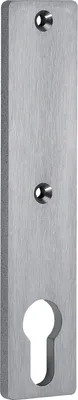 A close-up, straight-on view of a metal escutcheon plate with a keyhole.