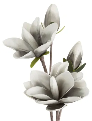 Zdjęcie produktu dla Kwiat sztuczny gałązka magnolii FLORE 59 cm popielaty x6