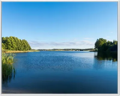 Produktbild von Wallario Wandbild Malerischer See mit Schilf unter blauem Himmel, Größe: 40,30 x 50,30 cm, Poster mit weißem Aluminiumrahmen
