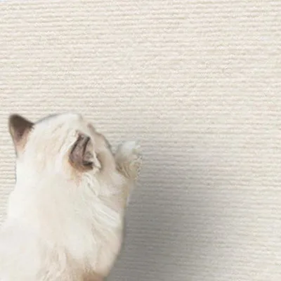 Produktbild von Klettergerüst für Katzen, weiß, 40 x 200 cm, selbstklebend, kratzschutz für Sitzmöbel