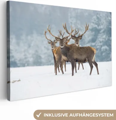 Produktbild von MuchoWow® - Leinwandbilder - Hirsche - Tiere - Schnee - Winter - Landschaft - Natur, Wandbild, Wanddeko Bilder Wohnzimmer, 90x60 cm