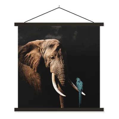 Produktbild von MuchoWow® Textilposter Elefant - Papagei - Zähne 40x40 cm mit schwarzem Rahmen - Fotos