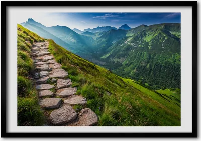 Produktbild von Bild - Bilder - Bilderrahmen - 70 cm x 50 cm - MDF-Rahmen, Wandkunst Pfad in der Tatra