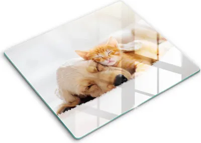 Produktbild von Glasschneideplatte - Herdabdeckplatte - 60x52 - Schneidebrett - Spritzschutz - Tiere Hund und Katze