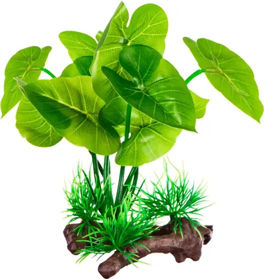 Zdjęcie produktu dla Kruger Meier Plant Grower Root - roślinka sztuczna