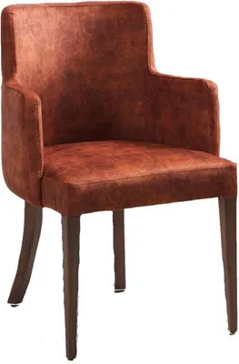 Produktbild von Stuhl Design Wohnzimmer Esszimmer Echtes Holz Stühle Polster mit Armlehne