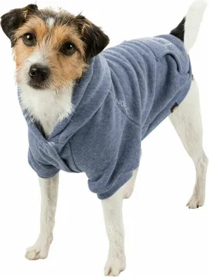 Produktbild von Hundepulli Trixie Flensburg Blau L