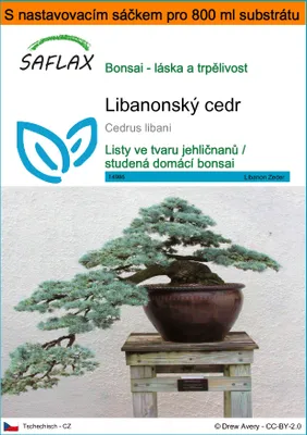 Obrázek produktu pro SAFLAX Garden in the bag - Libanonský cedr - Cedrus libani - 20 Semena - S pěstebním substrátem v praktickém samovztyčovacím sáčku