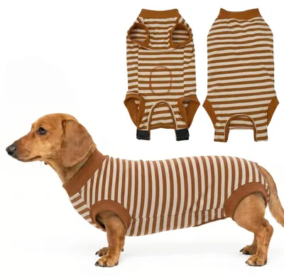 Produktbild von Chirurgischer Overall für Hunde, bequemer Operationsanzug zur Nachsorge