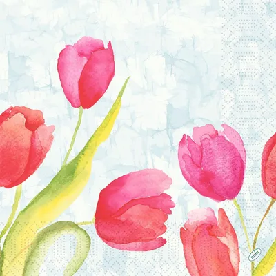 Obrázek produktu pro DUNI Duni Servietten Malované tulipány 40x40cm